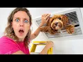 My DOG TRAPPED in SEWER will he be okay