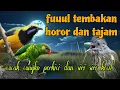 Download Lagu Fuuul tembakan horor 🔥🔥 cungko perkici dan siri siri kecil