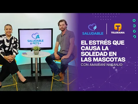 Saludable: El estrés que causa la soledad en las mascotas