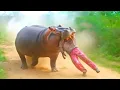 Download Lagu هؤلاء الأشخاص الخمسة التهمتهم الحيوانات وهم أحياء خلال رحلات السفاري!