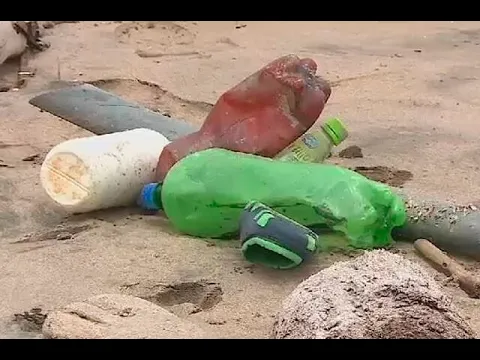 Entre la basura que llega a playas de Cartagena también se esconden peligrosos animales