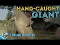 Tricky Catfish NOODLING - Chasing Monsters