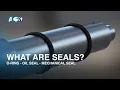 What Are Seals O-rings Oil Seals and Mechanical Seals and How Do They Work
