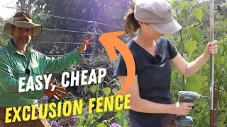 Clever Post Extensions Solve Deer Problem