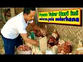 Download Lagu Panen Telur dikandang sederhana semi umbaran Alhamdulillah
