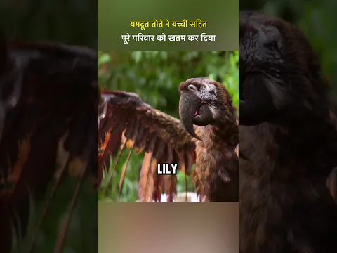#rakshabandhan
