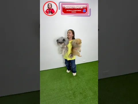 TIPOS DE NIÑAS !!! #viral #humor #viralvideo #viralshorts