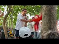 Download Lagu MELIHAT PANJAT PINANG DI MAK DAMIS