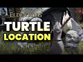 Elden Ring - Turtle Location to Give Spell Books to Unlock new Sorceries and Incantations