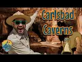 Visiting Carlsbad Caverns National Park Educational s For Kids