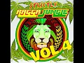 Download Lagu RAGGA JUNGLE IS MASSIVE VOL 4 MIXED BY DJ STP