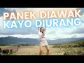 Download Lagu Vita Alvia Dj Terbaru - Panek Diawak Kayo Diurang (Official Music Video ANEKA SAFARI)