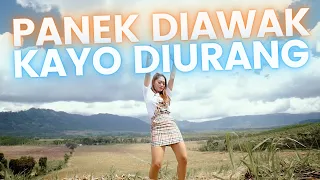 Download Vita Alvia Dj Terbaru - Panek Diawak Kayo Diurang (Official Music Video ANEKA SAFARI) MP3