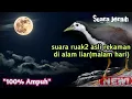 Download Lagu Suara pikat~Suara ruak ruak pikat malam hari
