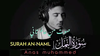 سورة النمل كاملة القارئ أنس محمد تلاوة هادئة Surah An Naml Anas Mohamed  سورة النمل كاملة القارئ أنس محمد تلاوة هادئة Surah An Naml Anas Mohamed