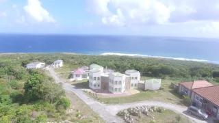            دندنها