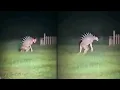 15 Unsolved Mysteries That Cannot Be Explained