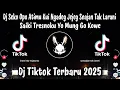 Download Lagu DJ SAIKI TRESNO KU YO MUNG GO KOWE - SEKO OPO ATIMU KUI NGADEG JEJEG SENAJAN TAK LARANI