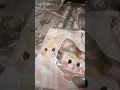 Download Lagu Unbox baby three#unboxing #babythree #sticker #beba #studywithme #studygram