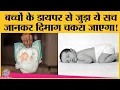 Baby diapers Toxics Link