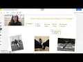 Unit Conversion Practice Pt 2 First