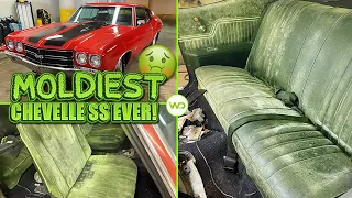 Download Deep Cleaning the MOLDIEST 1970 Chevelle SS EVER! | Satisfying DISASTER Car Detailing Transformation MP3