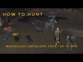How To Hunt Moonlight Antelope