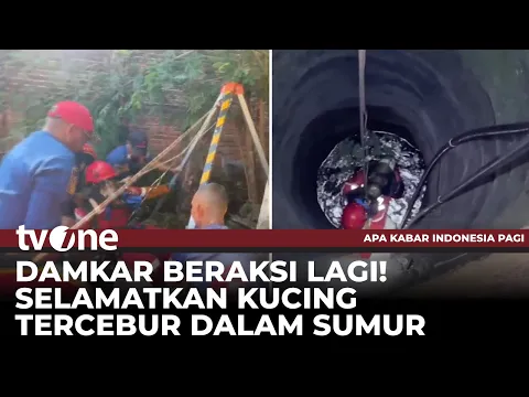 Evakuasi Dramatis Anabul Terjebak di Dalam Sumur Sedalam 10 Meter