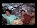 Aaj Phir Jeene Ki Tamanna Hai | 4K Full Video Song | Guide (1965) | Lata Mangeshkar | Hindi Song