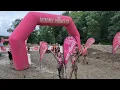 Muddy Princess 2023 in Pittsburgh - Rain or Shine