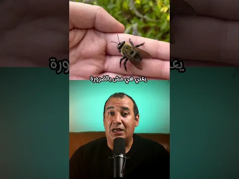 لو وقفت عليك سيبها تشرب عرقك