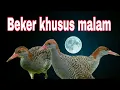 Download Lagu Suara pikat BEKER terbang khusus malam