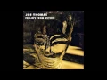 Joe Thomas - Polarizer