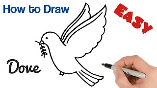 How To Draw A Dove With Olive Branch Pigeon Drawing Easy Art Tutorial 
