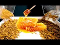 Are there things mealworms CAN T eat