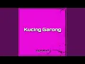 Download Lagu DJ Kucing Garong (Remix)