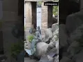 Download Lagu regardez le vrai sirène au fleuve Congo sur le pont ledya