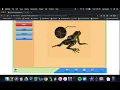 Frog Dissection Tutorial