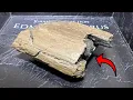 The Best Gift for Dinosaur Fans A REAL Dinosaur Fossil