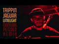Trippin Jaguar - Limelight - Dominik Petzold Remix