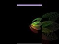 Make a Flower using python