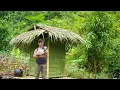 Lagu CEO Leaves City for the Woods to Restore Abandoned Old House | Unexpected Transformation