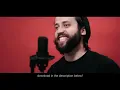 Animal I Have Become - Three Days Grace (Cover by Jonathan Young & Caleb Hyles)