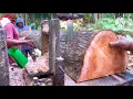 Download Lagu Kuwalitas Kayu Mahoni Tua‼️Di Rajang Gergaji Mesin Bandsaw Rakitan