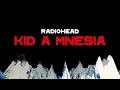 Download Lagu Radiohead - Everything In Its Right Place (Instrumental)