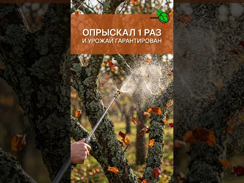 🔥 СЕКРЕТ КОРЕЙСКИХ ФЕРМЕРОВ! Как очистить сад от всех проблем и гарантировать урожай за ОДИН раз