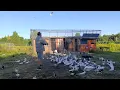 Download Lagu A tak wygląda o 7 rano. Pozdrawiam 🔥