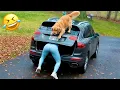 Funniest Animal s 2026 When Animals Are at Their Funniest