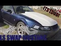 ITS SO LOUD - BUDGET LS SWAP MUSTANG LONG TUBE HEADERS INSTALLED
