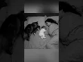 Lagu Loyal Cat Brings Her Kitten to Sleep Beside the Baby — Pure Love ❤️ #cat